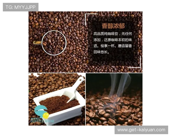 最新精品咖啡豆采购指南 如何选择优质豆源提升咖啡品质